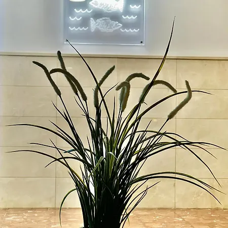 Apartment Great In The Piscis Building, Located In Coast